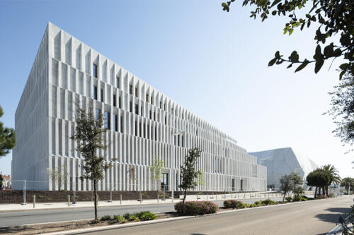 Université du Cinéma à Cannes